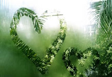 佛罗伦萨客场惨败，遭遇重挫：意甲征途中的一次深刻警示