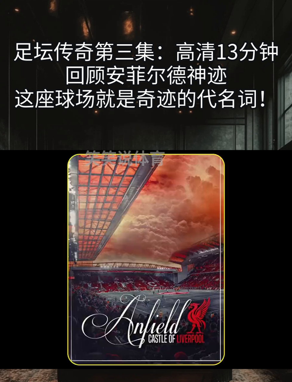 球场传奇复出，引领球队决战冠军的简单介绍